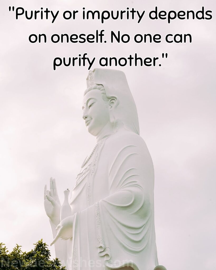 Buddha quotes on karma images 