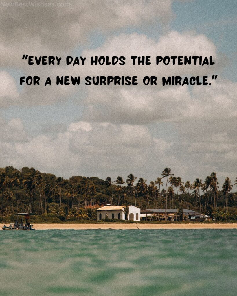 Life is full of surprises and miracles quotes short