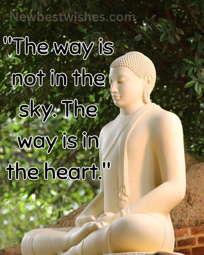 7 The way is not in the sky. The way is in the heart