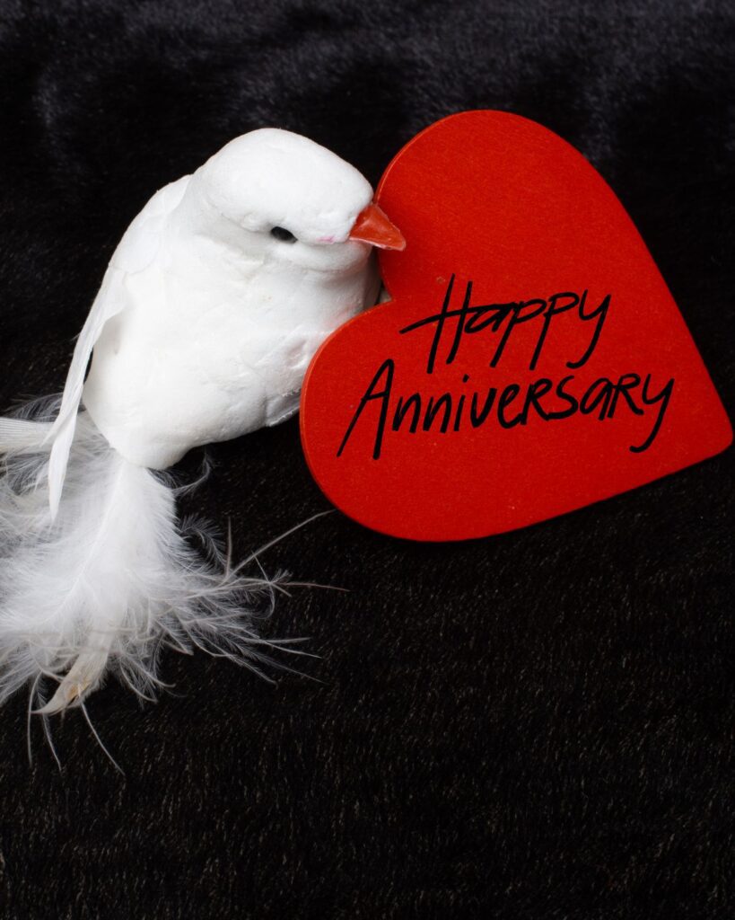 Happy Wedding anniversary Images bird